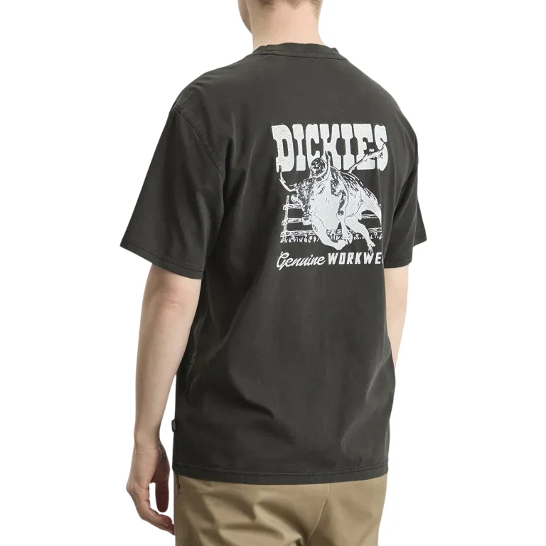 T-shirt Dickies Buchtell - Image 3