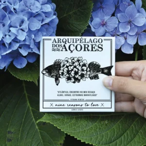 Azulejo Vitorino Nemésio