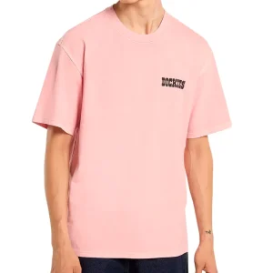 T-shirt Dickies Buchtell